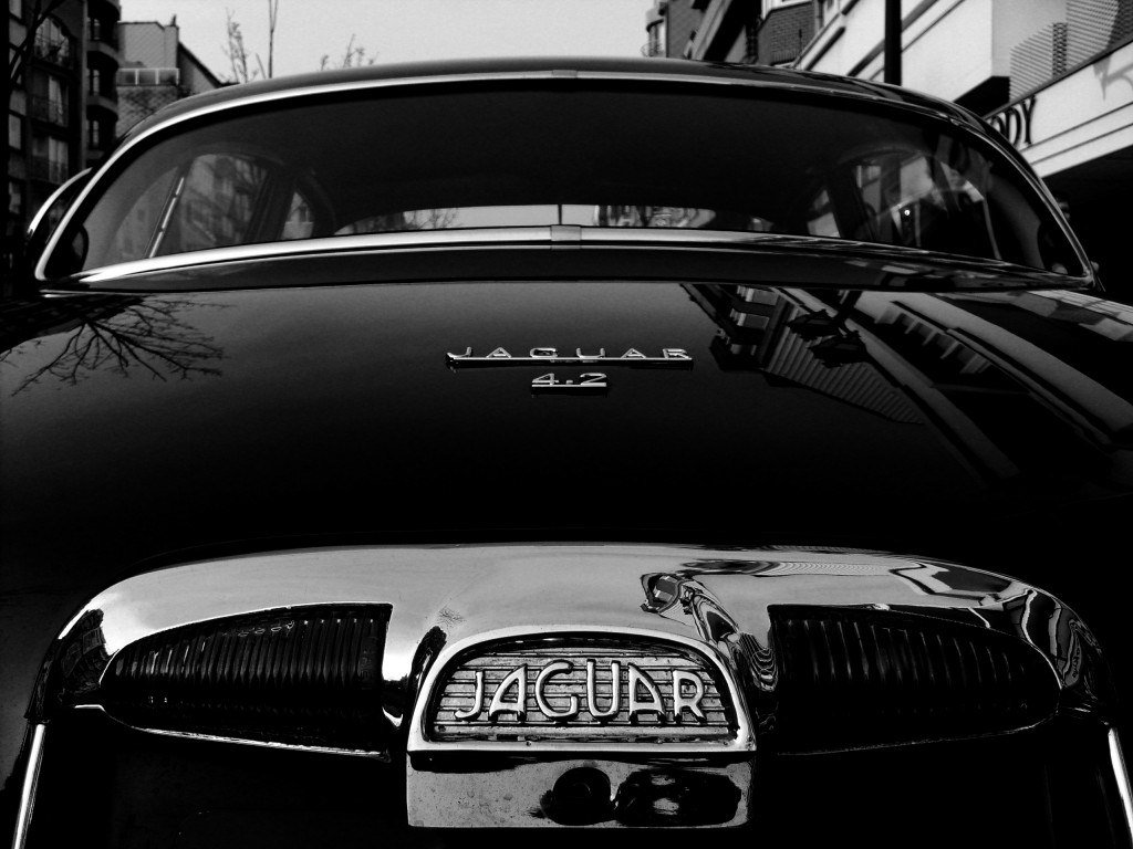 s5001481-1024x768.jpg